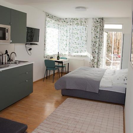 Apartman U Doktora バンスカー・ビストリツァ エクステリア 写真