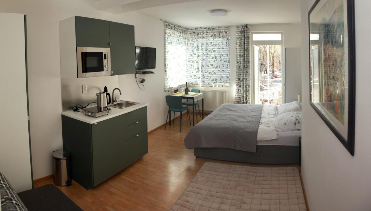 Apartman U Doktora バンスカー・ビストリツァ エクステリア 写真