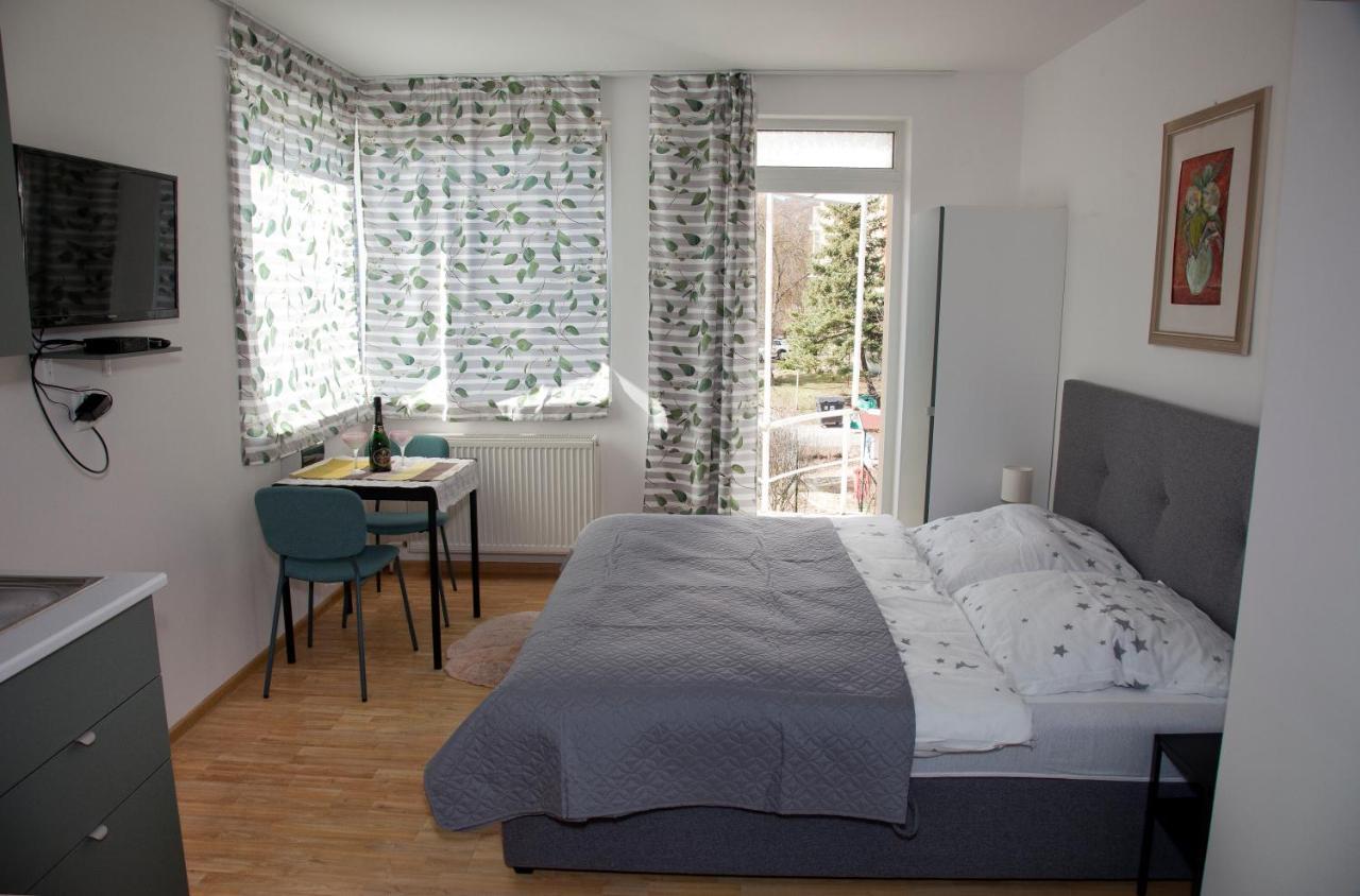 Apartman U Doktora バンスカー・ビストリツァ エクステリア 写真